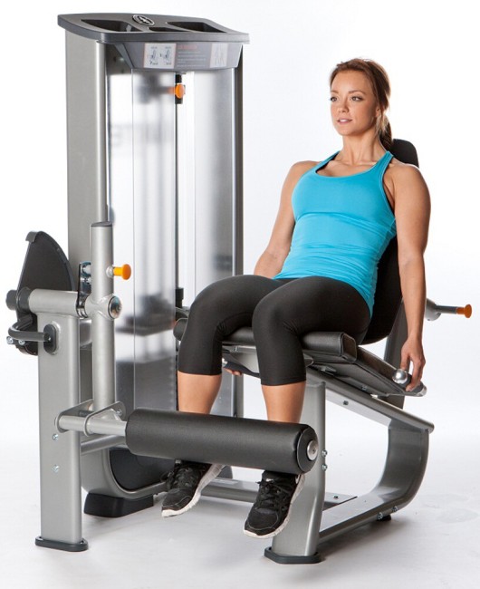 Тренажер для ног AeroFit Natural Line NL5 Тренажер для ног AeroFit Natural Line NL5