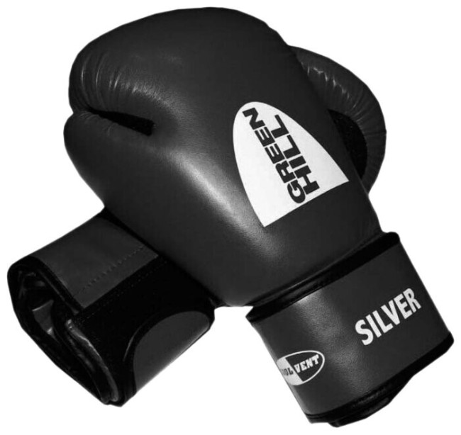 Перчатки боксерские Green Hill Silver BGS-2039 10oz черный