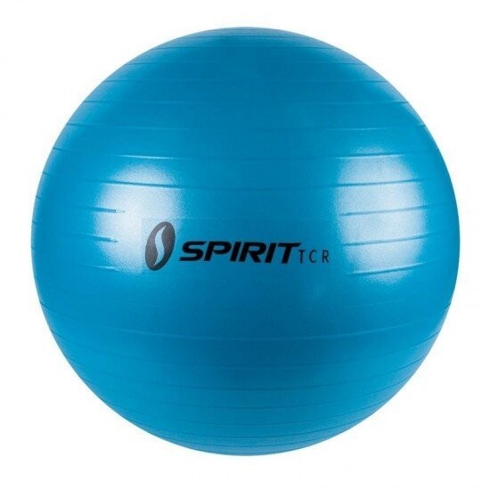 Мяч гимнастический Spirit Fitness M-01 (55 см) Мяч гимнастический Spirit Fitness M-01 (55 см)