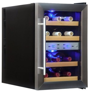 Винный шкаф Cold Vine C12-TSF2