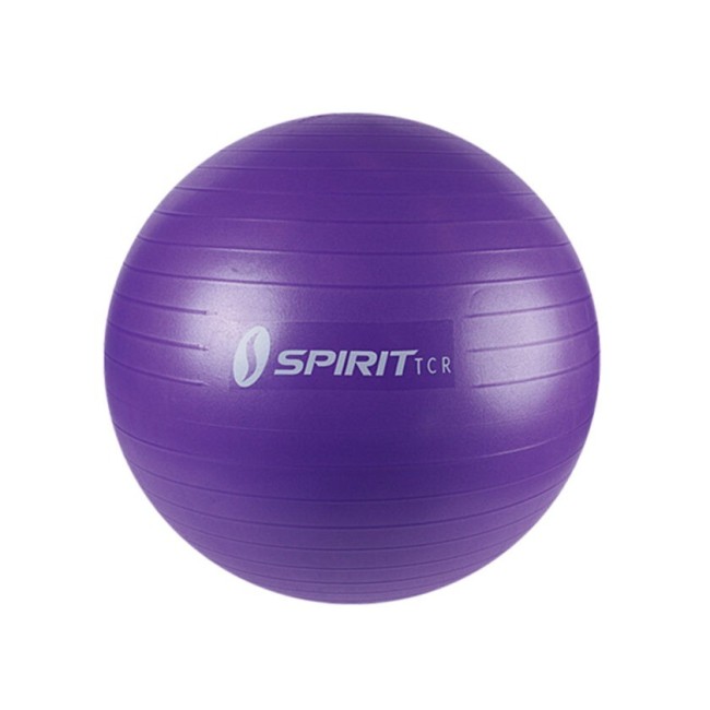 Мяч гимнастический Spirit Fitness M-02 (65 см) Мяч гимнастический Spirit Fitness M-02 (65 см)