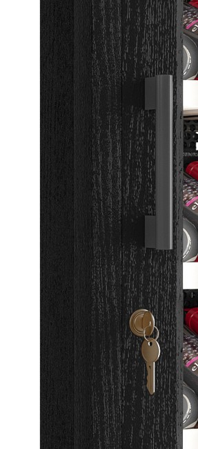 Винный шкаф Meyvel MV66-WB1-M