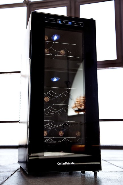 Винный шкаф Cellar Private CP021-2T