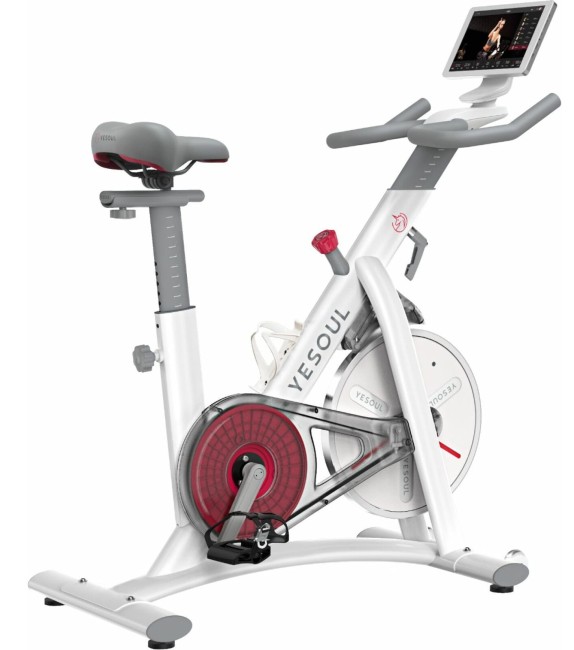 Велотренажер DFC Yesoul BS3-W-10.1 Велотренажер DFC Yesoul BS3-W-10.1