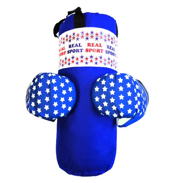 Набор боксерский Realsport МИНИ RS250 синий