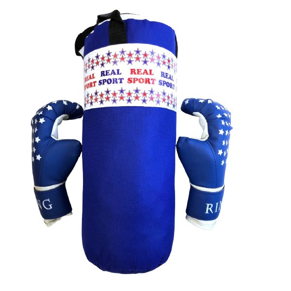 Набор боксерский Realsport МИНИ RS250 синий
