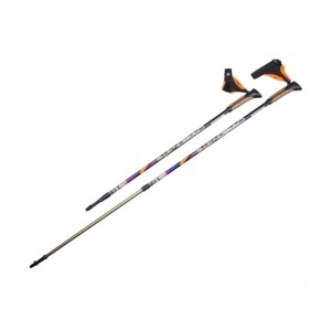 Палки для скандинавской ходьбы US Medica GTS 2 секции черный