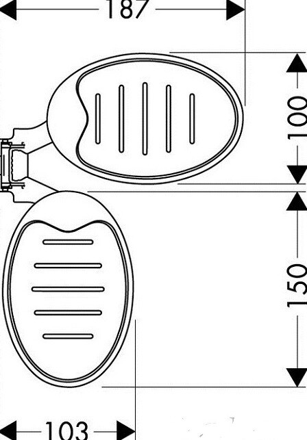 Мыльница для душевой штанги Hansgrohe Raindance Cassetta (28698000)