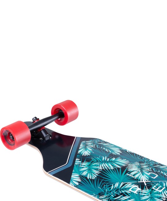 Лонгборд Ridex ABEC-7 Fern