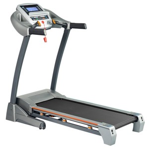 Беговая дорожка Larsen Newtone E2000 Беговая дорожка Larsen Newtone E2000