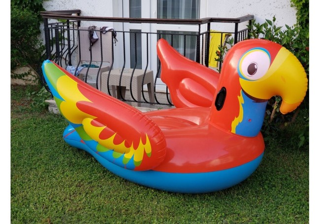 Надувной плот Bestway Попугай 41127 BW Надувной плот Bestway Попугай 41127 BW
