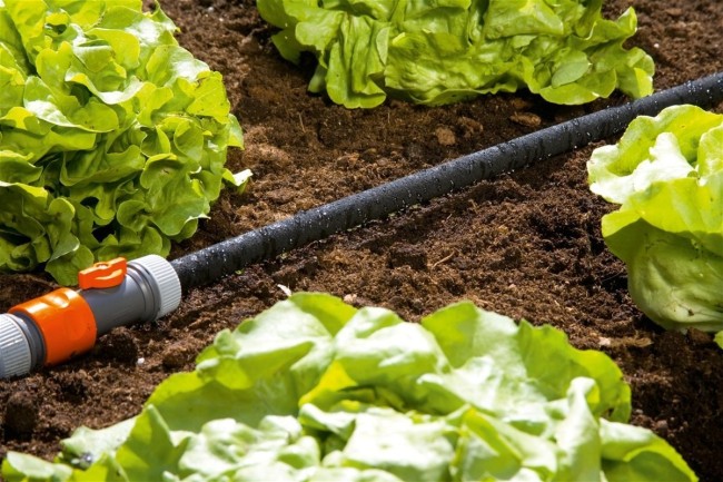 Шланг Gardena (01969-20.000.00) Шланг Gardena (01969-20.000.00)